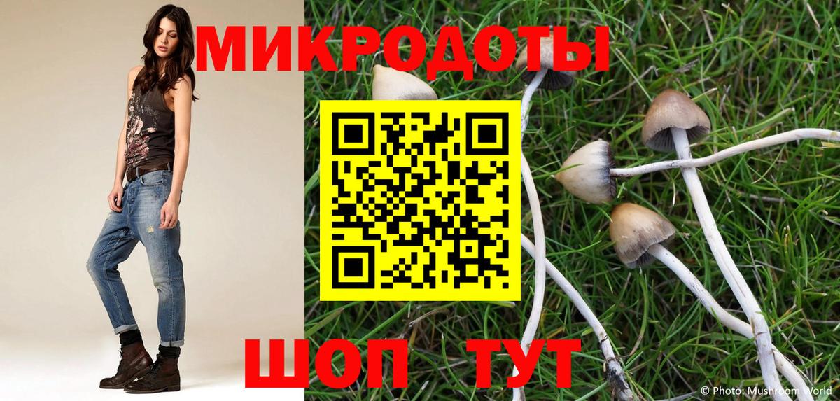 Псилоцибиновые грибы прущие грибы  Псилоцибиновые грибы Cubensis  Омск  Вход с VPN 